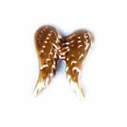 Faith Charm for Floating Memory Locket - Double Angel Wing Gold Tone